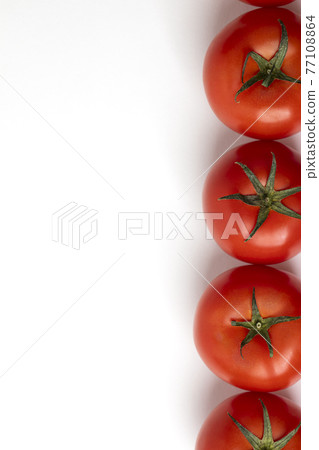 Red tomatoes lined up on a white background Red tomatoes lined up on a white background 77108864