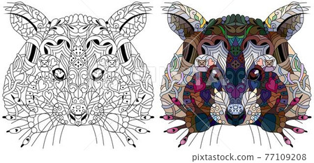 Zentangle stylized color raccoon for decoration. Color and outline set Zentangle stylized color raccoon for decoration. Color and outline set 77109208