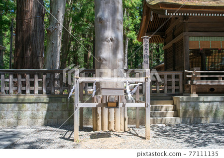 長野縣Su訪大社神宮秋宮兩大支柱 長野縣Su訪大社神宮秋宮兩大支柱 77111135