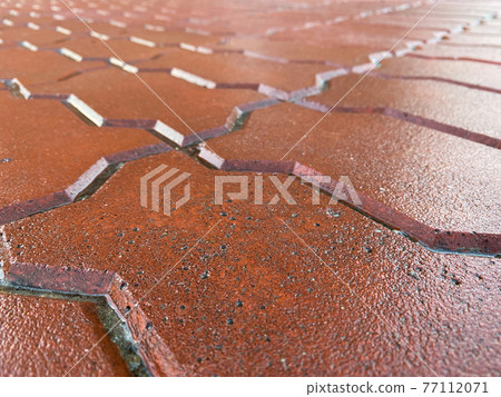 Tiles on the sidewalk, not new, after the rain, orange or brown pattern. The focus in the foreground Tiles on the sidewalk, not new, after the rain, orange or brown pattern. The focus in the foreground 77112071