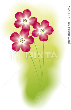 Vector image of bright red flowers Vector image of bright red flowers 77112470