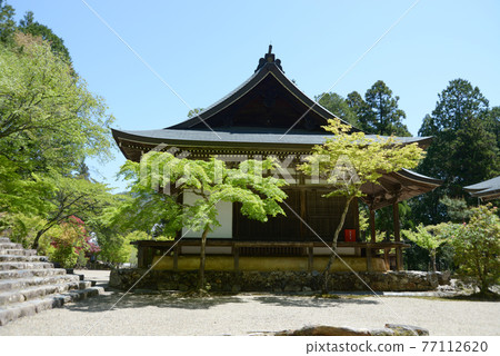 Fresh green Jingoji Temple Godaido, Takao, Kyoto City 77112620