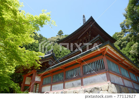 Fresh green Jingoji Temple Tahoto, Takao, Kyoto City 77112627