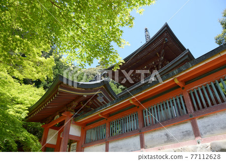 京都市高尾市新綠神宮寺 Tahoto 77112628