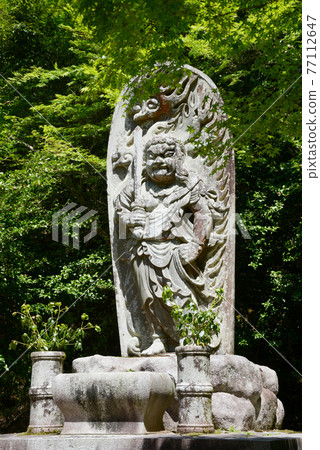 新鮮的綠色神宮寺，不動明王雕像，高尾市，京都市 77112647