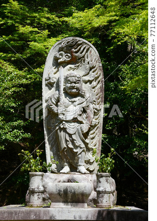 Fresh green Jingoji Temple, statue of Fudo Myoo, Takao, Kyoto City 77112648