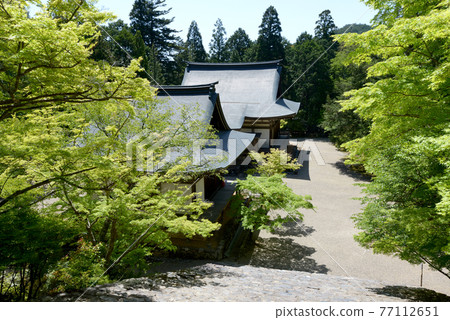 Fresh green Jingoji Temple, Godaido and Bishamon-do, Takao, Kyoto City Fresh green Jingoji Temple, Godaido and Bishamon-do, Takao, Kyoto City 77112651