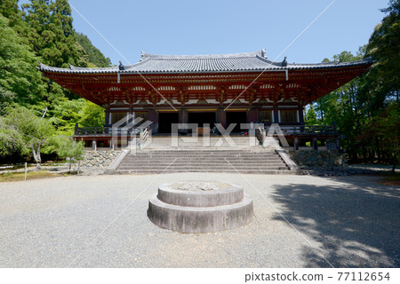 Fresh green Jingoji Temple Kondo, Takao, Kyoto City 77112654