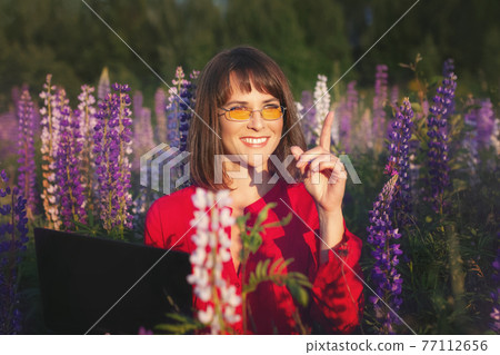 woman in red shirt in field of lupins working on laptop and smiling in field of flowers in summer 77112656