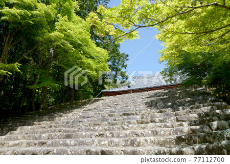 新鮮的綠色神宮寺，石階通往京都市高尾正殿 77112700