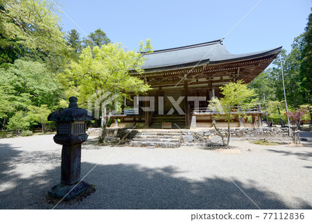 Fresh green Jingoji Temple Bishamon-do, Takao, Kyoto City 77112836