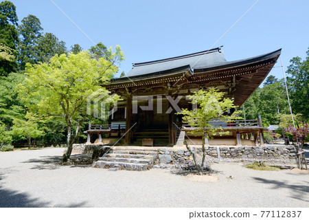 Fresh green Jingoji Temple Bishamon-do, Takao, Kyoto City 77112837
