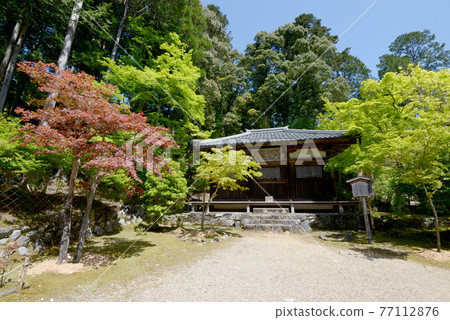 Fresh green Jingoji Temple, Meiodo, Takao, Kyoto City Fresh green Jingoji Temple, Meiodo, Takao, Kyoto City 77112876