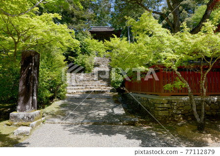 The approach to the bell tower of the fresh green Jingoji Temple, Takao, Kyoto City 77112879