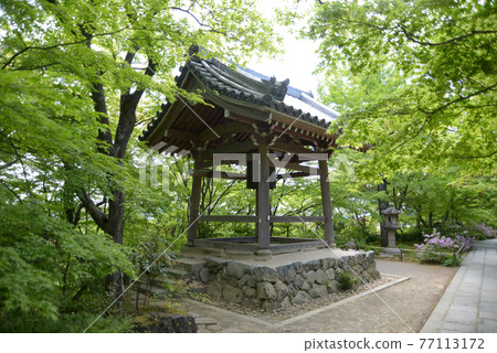 Fresh green Jojakkoji Temple Bell Tower Kyoto City Saga 77113172