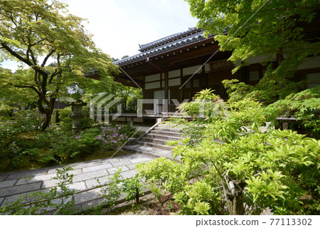 京都佐賀市新綠常寂光寺正殿 京都佐賀市新綠常寂光寺正殿 77113302