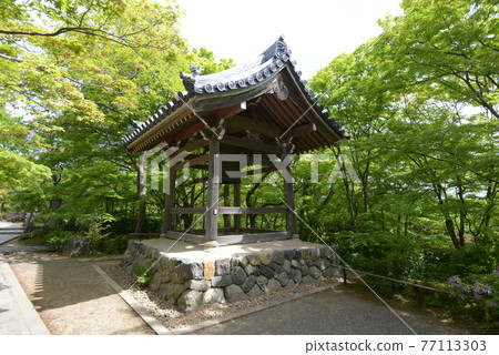 新鮮的綠色Jojakkoji寺廟鐘樓京都都市佐賀 新鮮的綠色Jojakkoji寺廟鐘樓京都都市佐賀 77113303