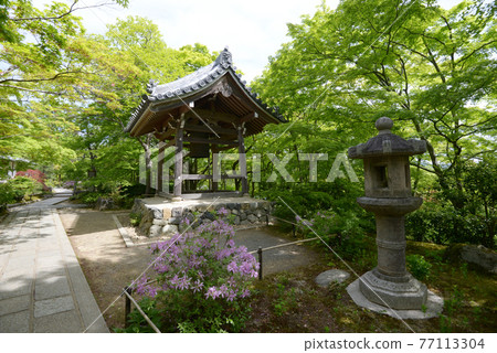 新鮮的綠色Jojakkoji寺廟鐘樓京都都市佐賀 新鮮的綠色Jojakkoji寺廟鐘樓京都都市佐賀 77113304