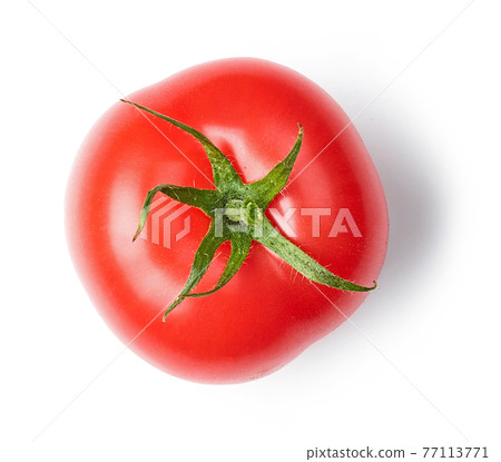 fresh red tomato fresh red tomato 77113771