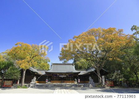 晴天的姬路護國神社 晴天的姬路護國神社 77113903