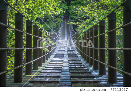 Hananuki Gorge Fresh green Shiomi Suspension Bridge 77113917