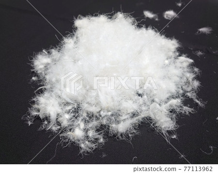 蓬鬆的水鳥羽毛 77113962