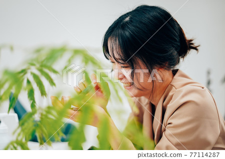 做微笑的年輕女人構成 77114287