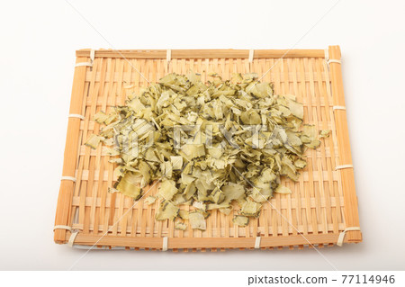 從北海道南部的茅部刮海帶 從北海道南部的茅部刮海帶 77114946