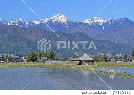 Spring in Azumino Countryside and Northern Alps Spring in Azumino Countryside and Northern Alps 77115182