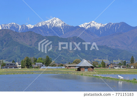 安曇野鄉和北阿爾卑斯山的春天 安曇野鄉和北阿爾卑斯山的春天 77115183