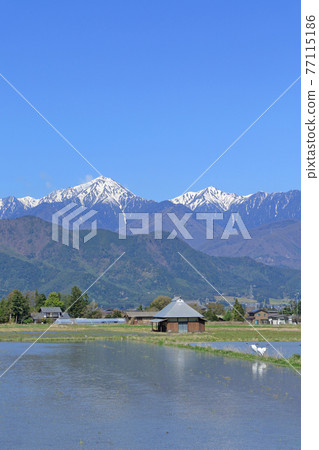 Spring in Azumino Countryside and Northern Alps 77115186