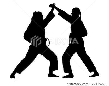 Silhouette of a karate practitioner doing kumite 77115220