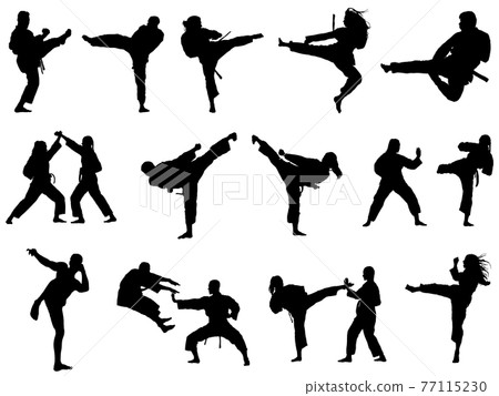 Karate silhouette_set 77115230