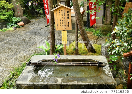 大岩 大岩 77116266
