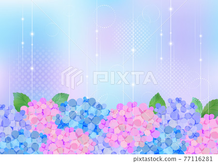 在雨季的繡球花背景框架 77116281