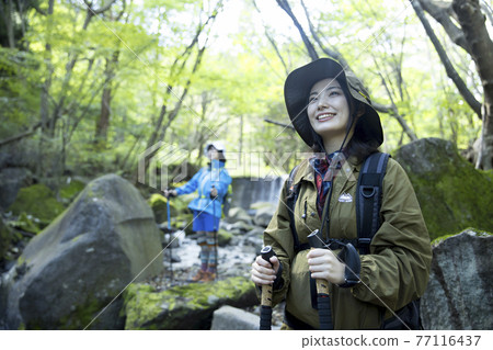 Female trekking image 77116437