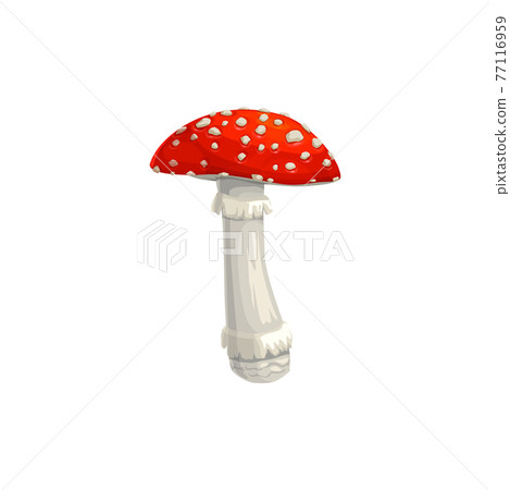 Mushroom fly agaric vector icon, cartoon amanita Mushroom fly agaric vector icon, cartoon amanita 77116959
