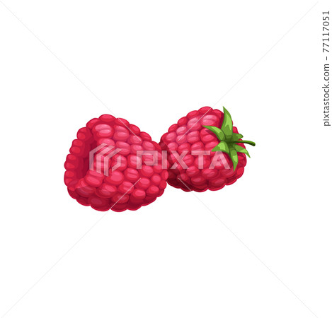 Raspberry with green stem healthy natural food, 77117051