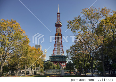 Sapporo TV Tower Sapporo TV Tower 77118285