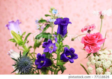 Ikebana Campanula, etc. 77118626