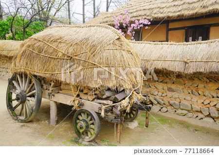 韓國民俗村 77118664