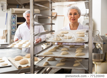 Elderly woman placing tray with formed dough Elderly woman placing tray with formed dough 77120840