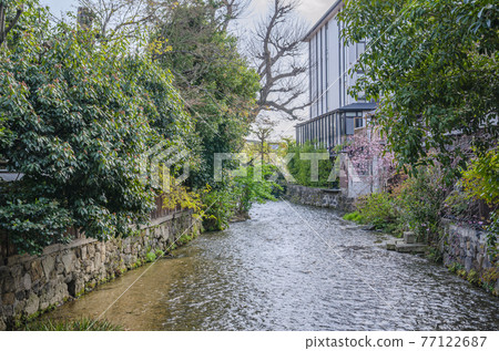 Shirakawa of Kyoto Shirakawa of Kyoto 77122687