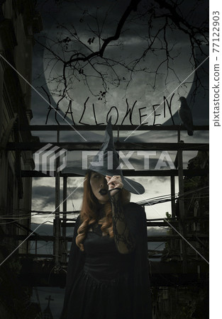 Halloween mystery concept Halloween mystery concept 77122903