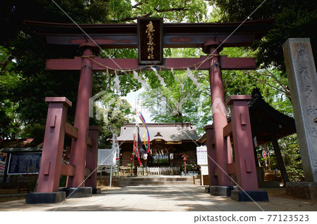 Sakura City, Chiba Prefecture, Magata Shrine 77123523