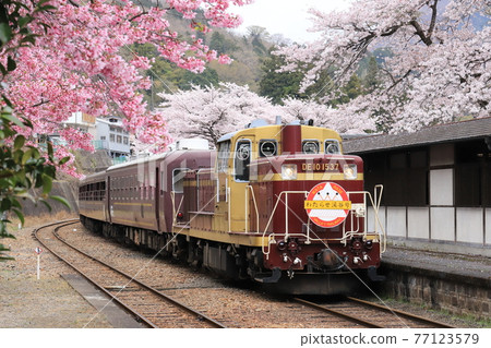 Watarase Valley Railway "Spring Mizunuma Station and Truck Watarase Valley" 77123579