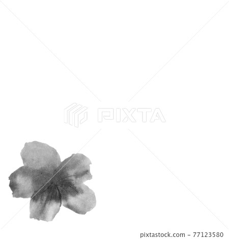 Flower illustration (azalea) Flower illustration (azalea) 77123580