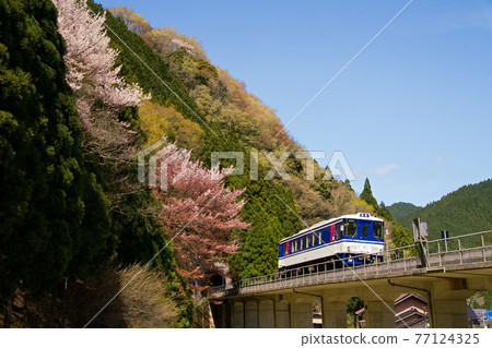 Running in the spring Chinese mountains 77124325