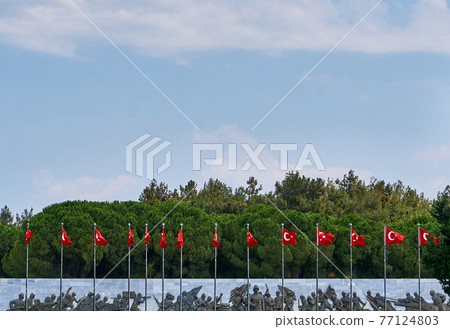 Canakkale Martyr's Memorial 77124803