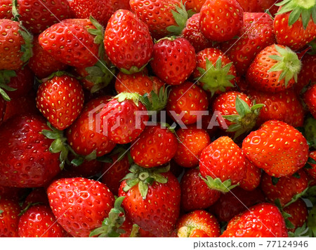 Strawberry background material 1 77124946